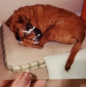 Meet your Posher, Beverly